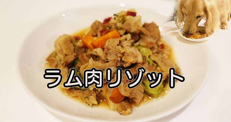 胃腸に優しい ラム肉リゾット ワンダフル わんごはん